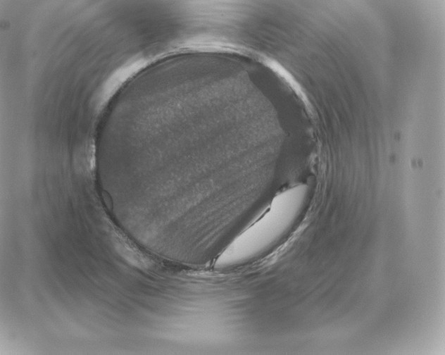 X0000087681461200706011642