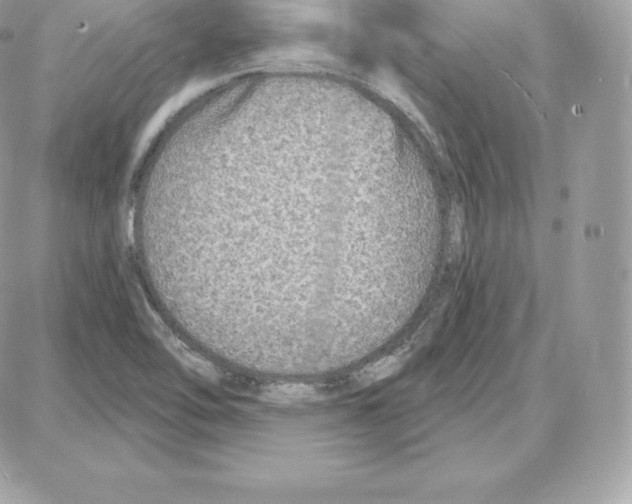 X0000087681462200706011642