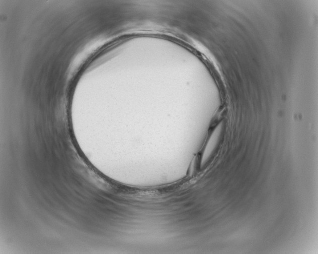 X0000087681464200706011642