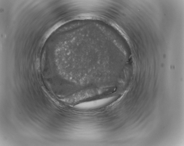 X0000087681465200706011642