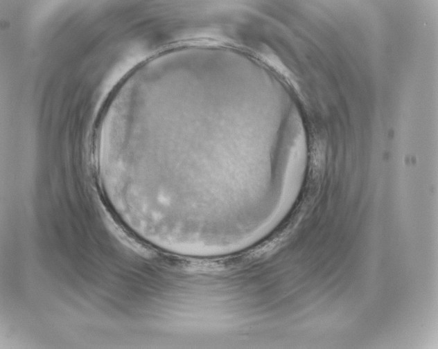 X0000087681466200706011642