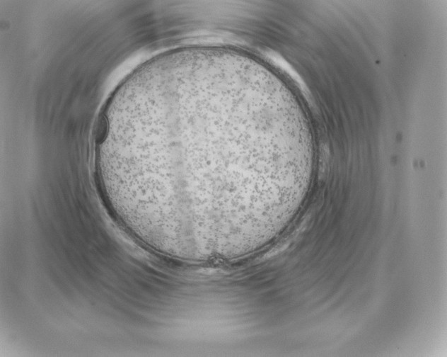 X0000087681467200706011642