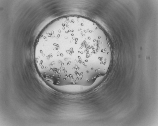 X0000087681468200706011642