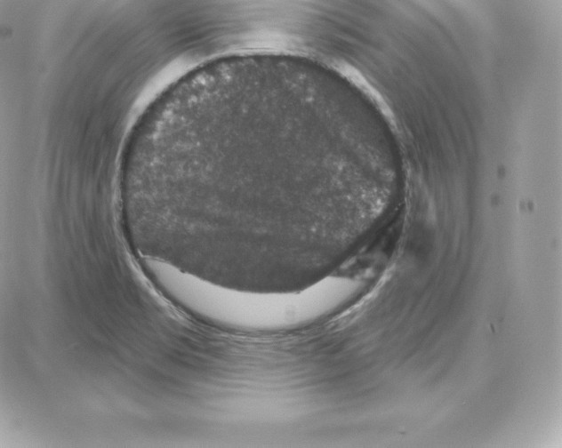 X0000087681469200706011642