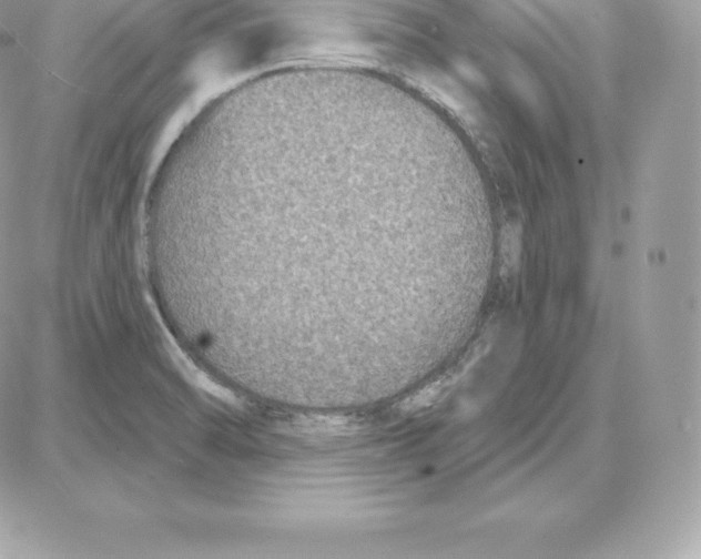 X0000087681470200706011642