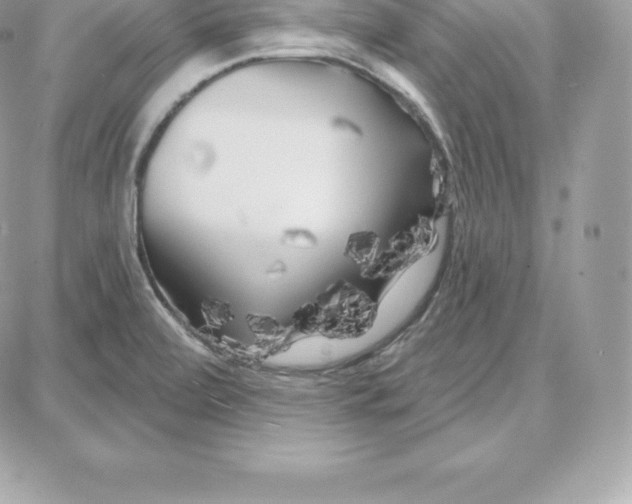 X0000087681472200706011642