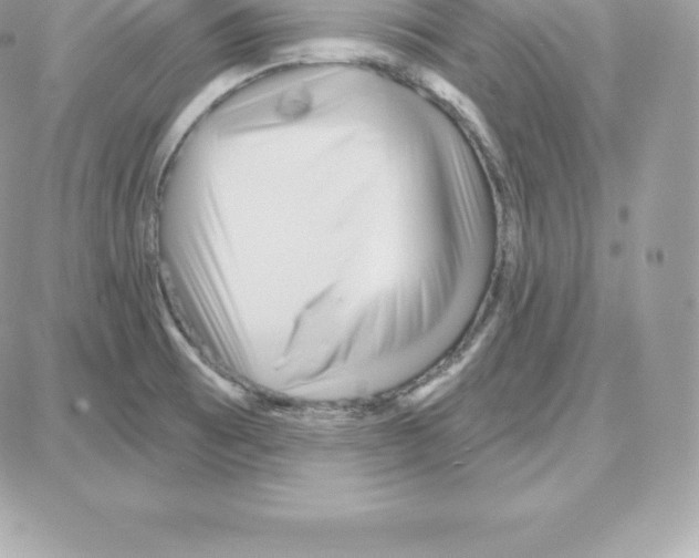 X0000087681473200706011642