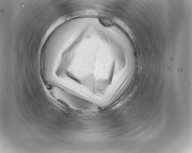 X0000087681475200706011642