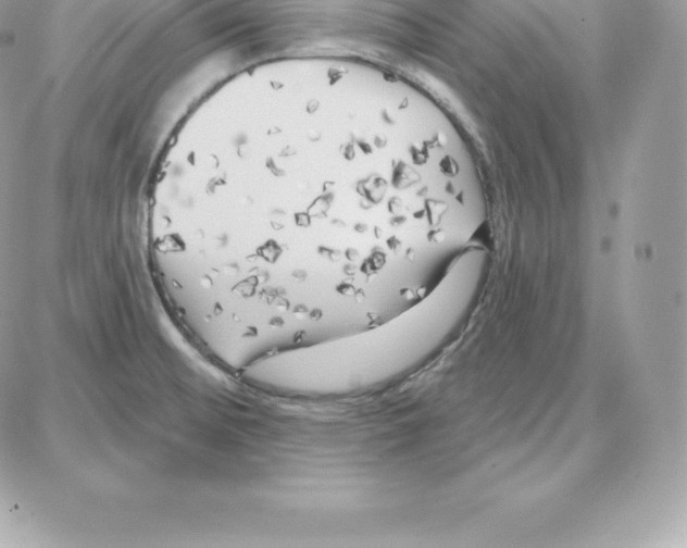 X0000087681476200706011642