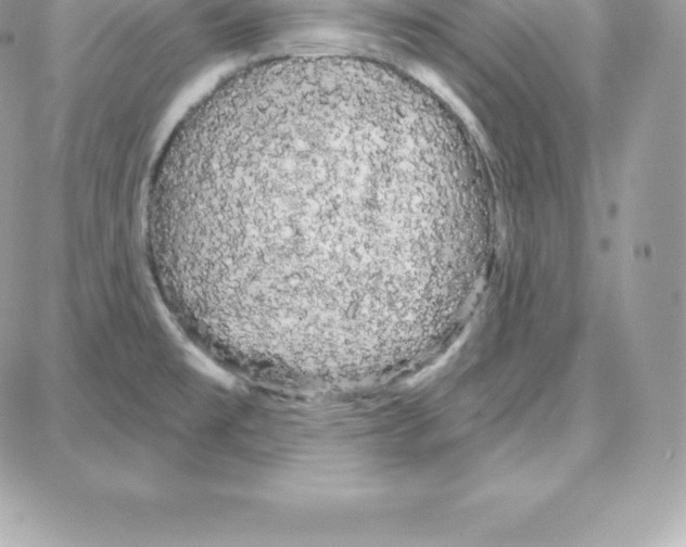 X0000087681477200706011642