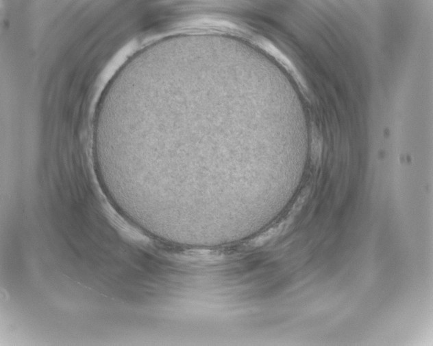 X0000087681478200706011642