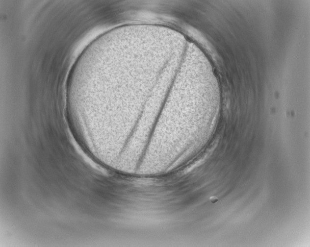 X0000087681479200706011642