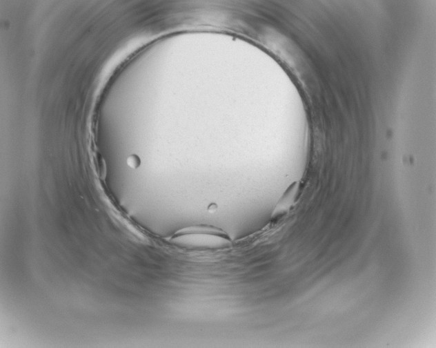 X0000087681480200706011642