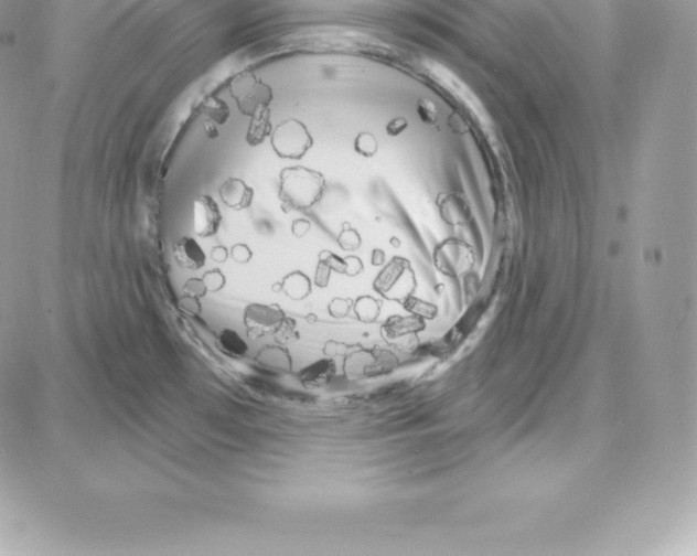 X0000087681481200706011642