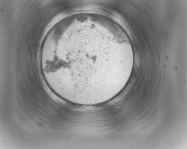 X0000087681482200706011642