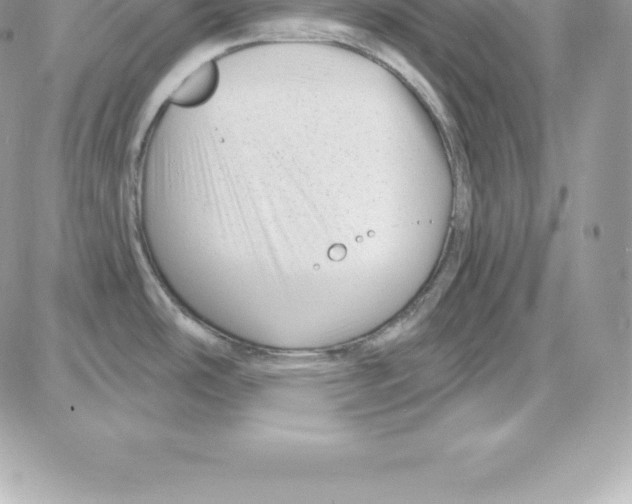 X0000087681486200706011641