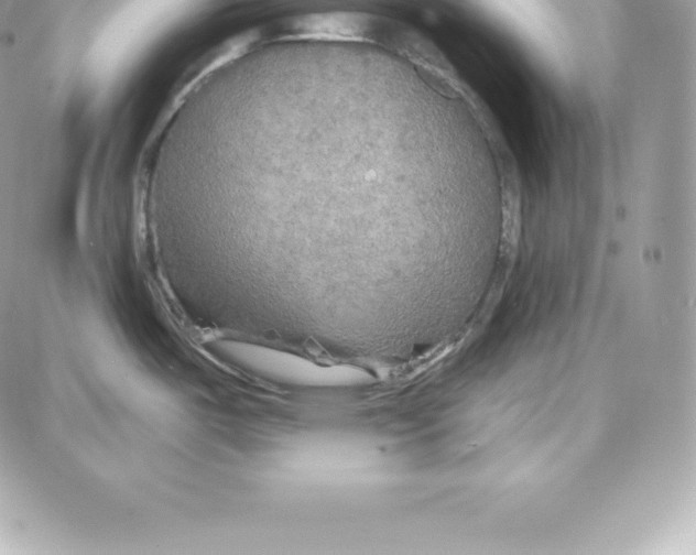 X0000087681487200706011641