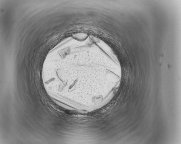 X0000087681489200706011641