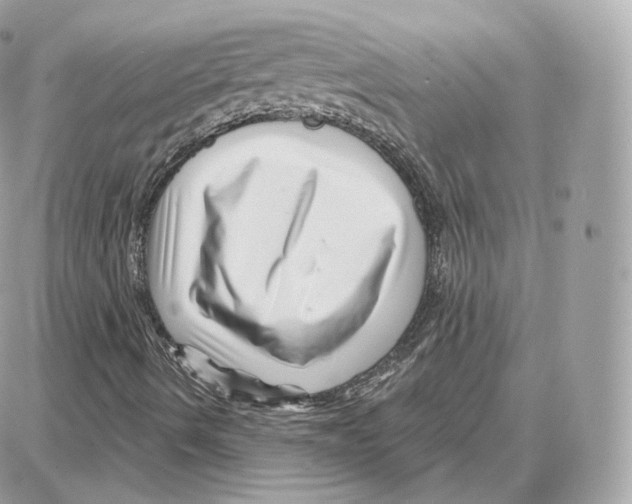 X0000087681490200706011641