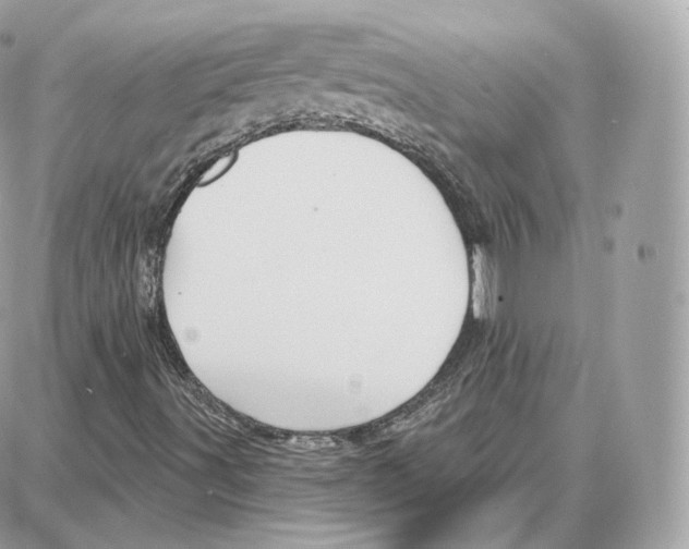 X0000087681491200706011641