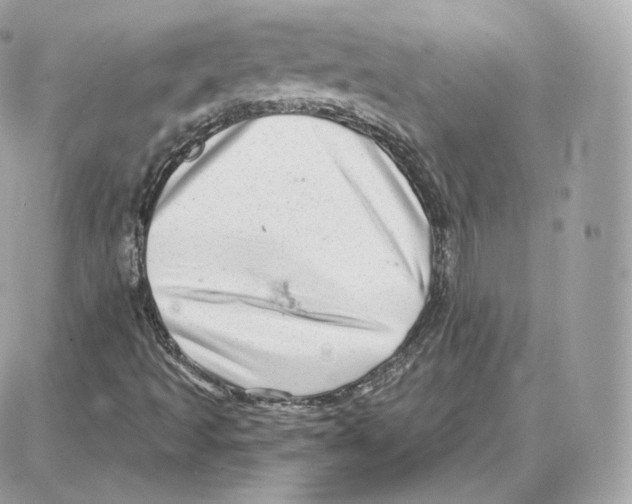 X0000087681493200706011641