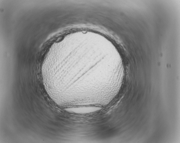 X0000087681494200706011641