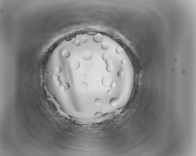 X0000087681496200706011641