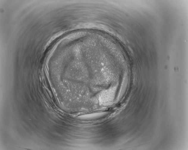 X0000087681497200706011641