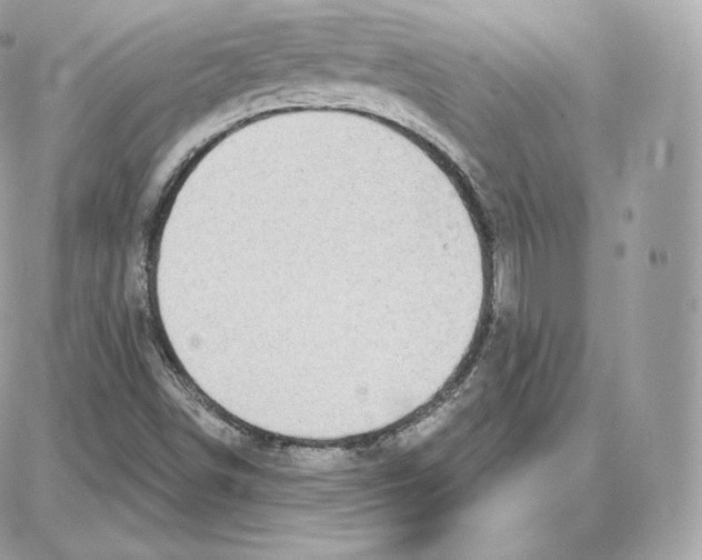 X0000087681498200706011641