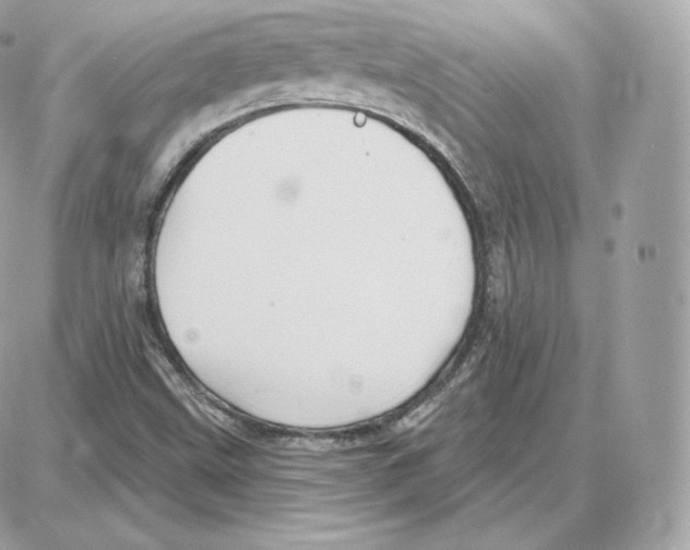 X0000087681499200706011641