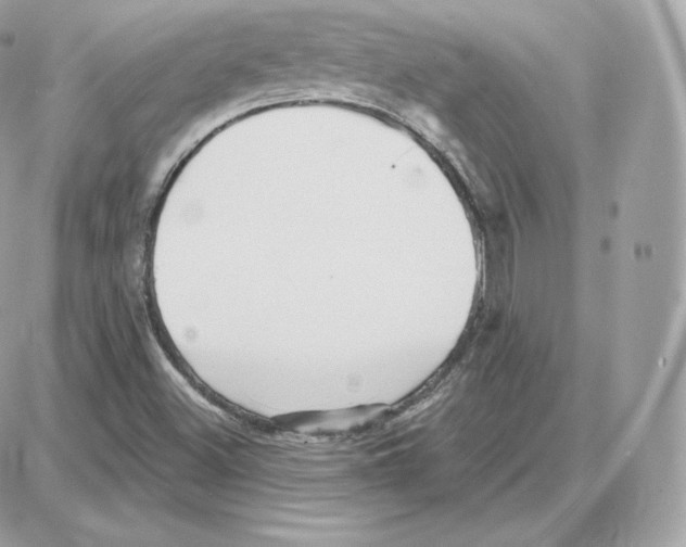 X0000087681500200706011641