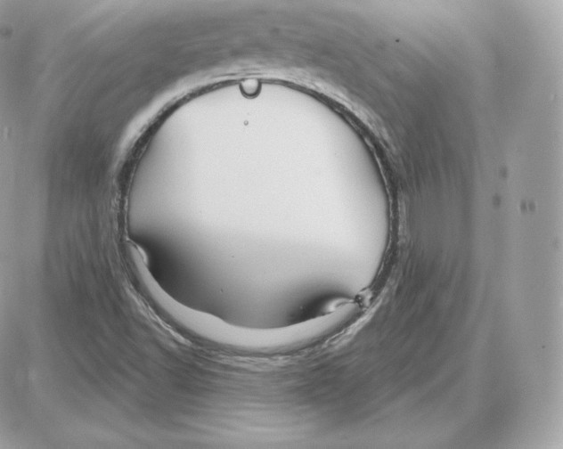 X0000087681502200706011641