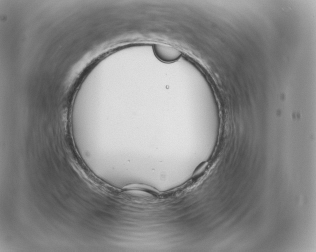 X0000087681503200706011641