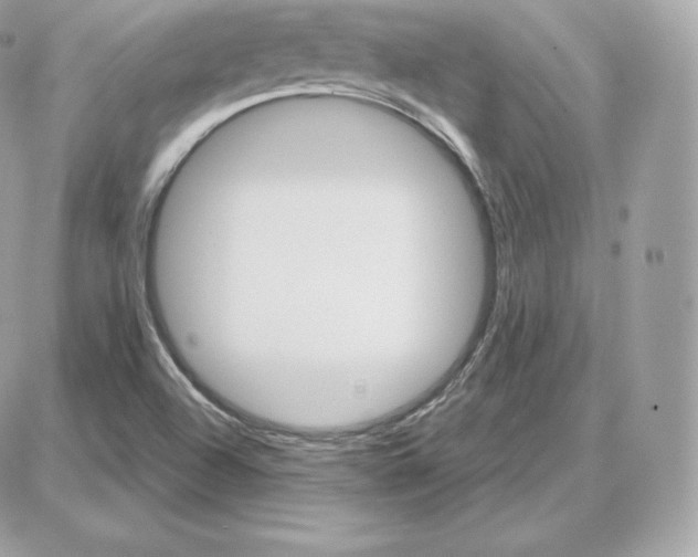 X0000087681504200706011641