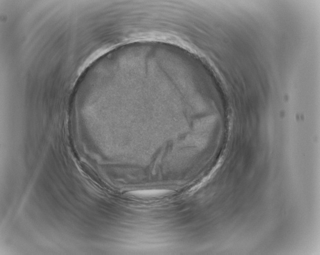 X0000087681505200706011641