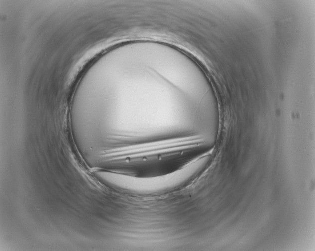 X0000087681507200706011641