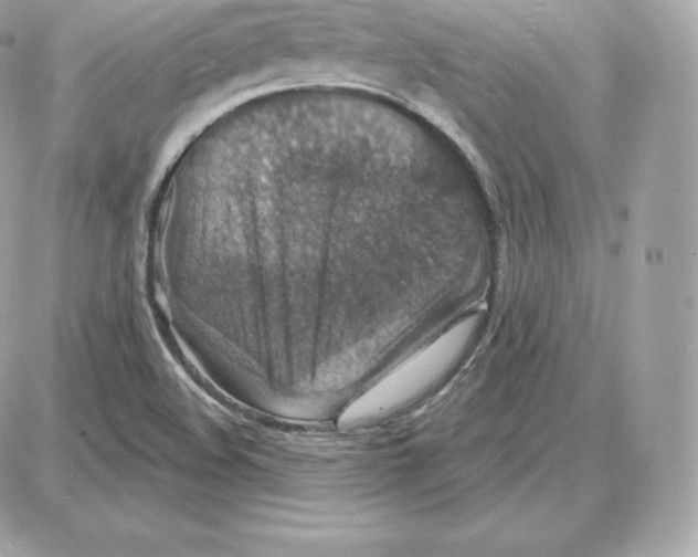 X0000087681508200706011641