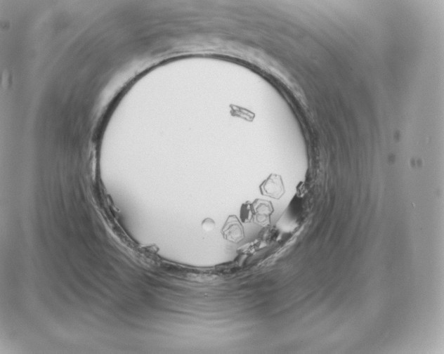 X0000087681509200706011641