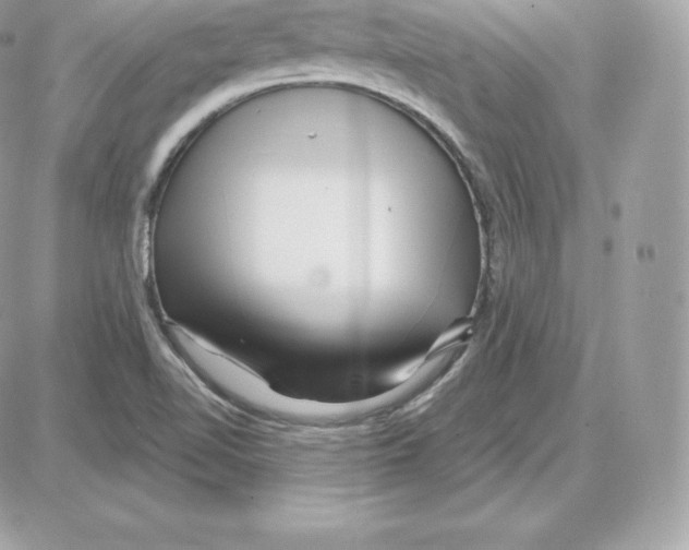 X0000087681510200706011641