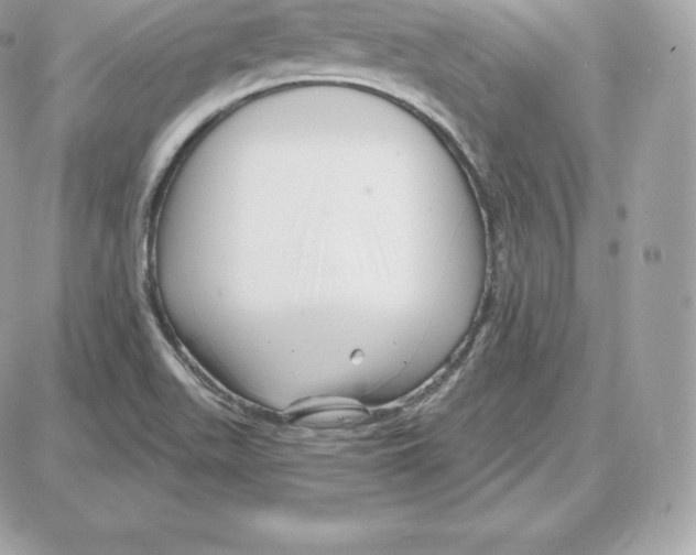 X0000087681511200706011641