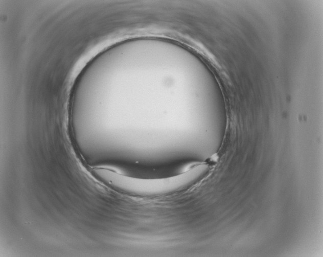 X0000087681512200706011641