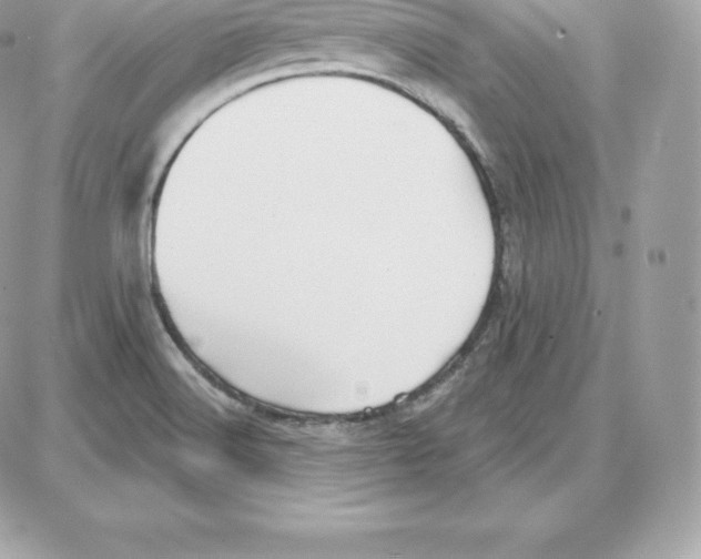 X0000087681516200706011641