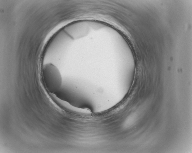 X0000087681517200706011641