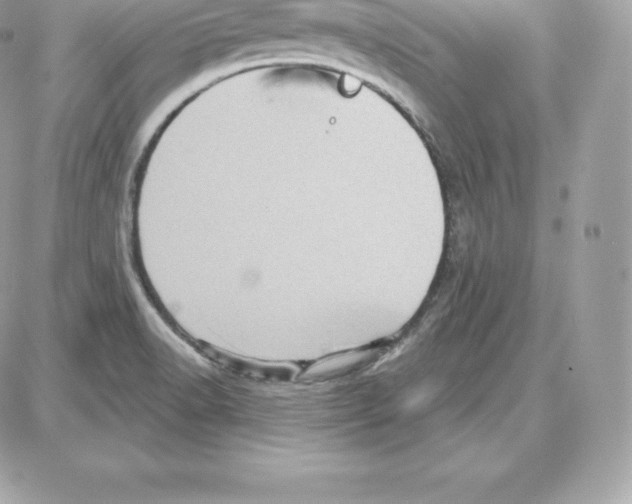 X0000087681518200706011641