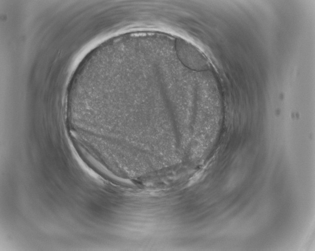 X0000087681519200706011641