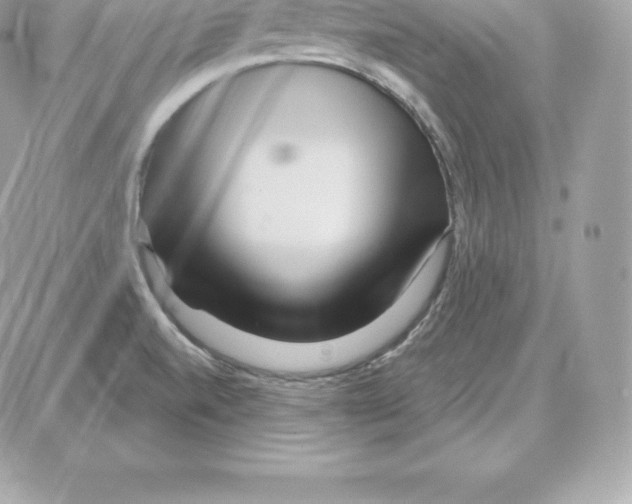 X0000087681520200706011641