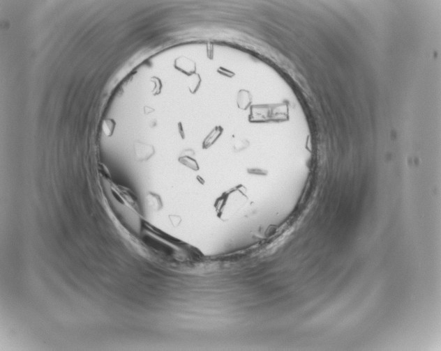 X0000087681521200706011641