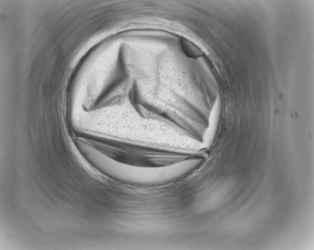 X0000087681523200706011641