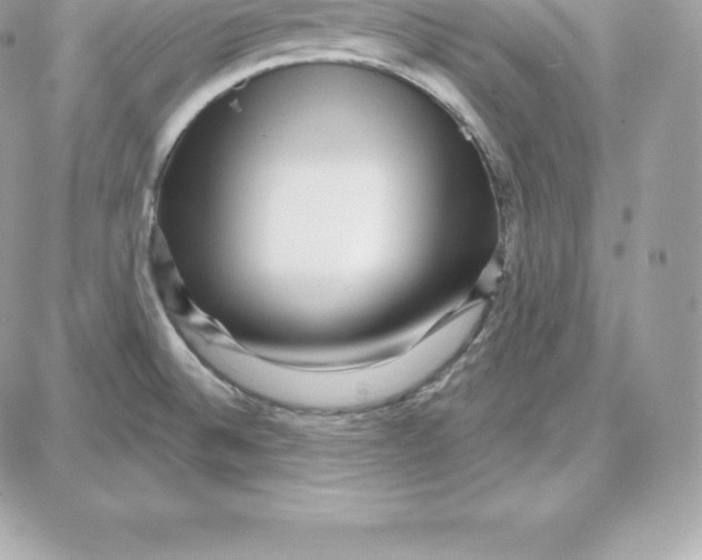 X0000087681524200706011641