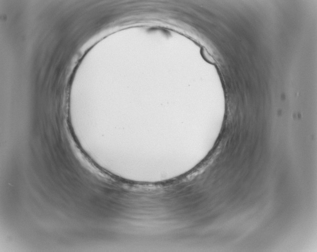 X0000087681526200706011641